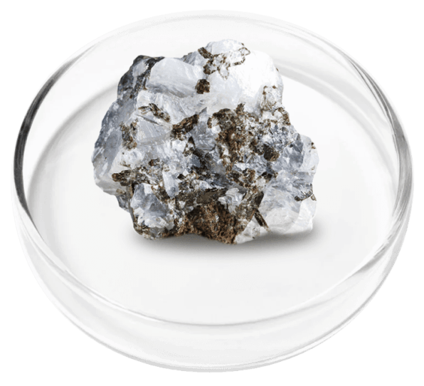 vertigenics ingredient1